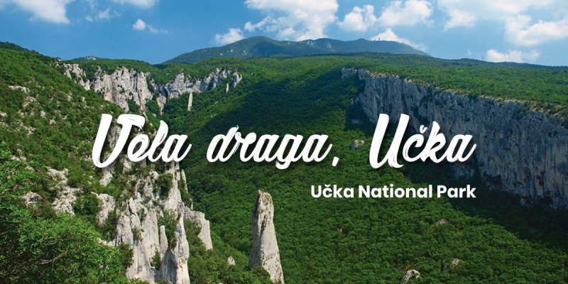 Vela draga, Učka trail